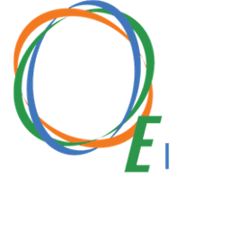 Energetic Insurance logo